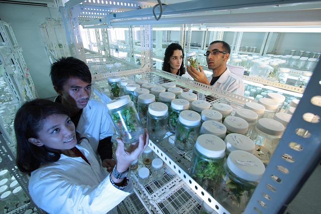 分析DBU芐基氯化銨鹽的反應活性與用量控制